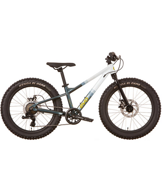 EVO EVO CADET 20" BLUE/WHITE