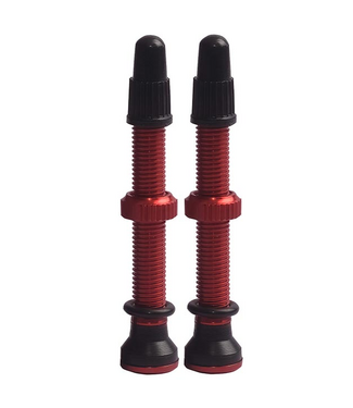 EVO EVO TUBELESS VALVES RED