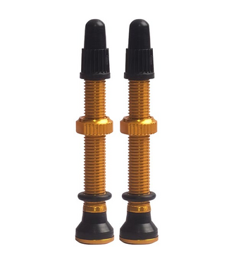 EVO EVO TUBELESS VALVES GOLD