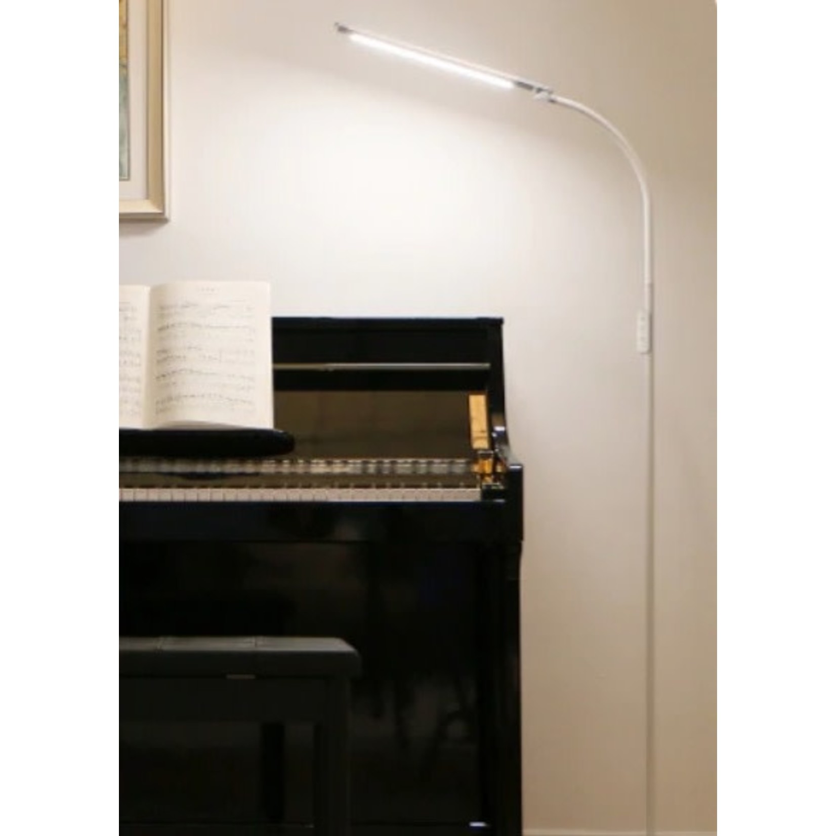 ECPro ECPro Eye-Caring LED Floor Lamp/ Piano light