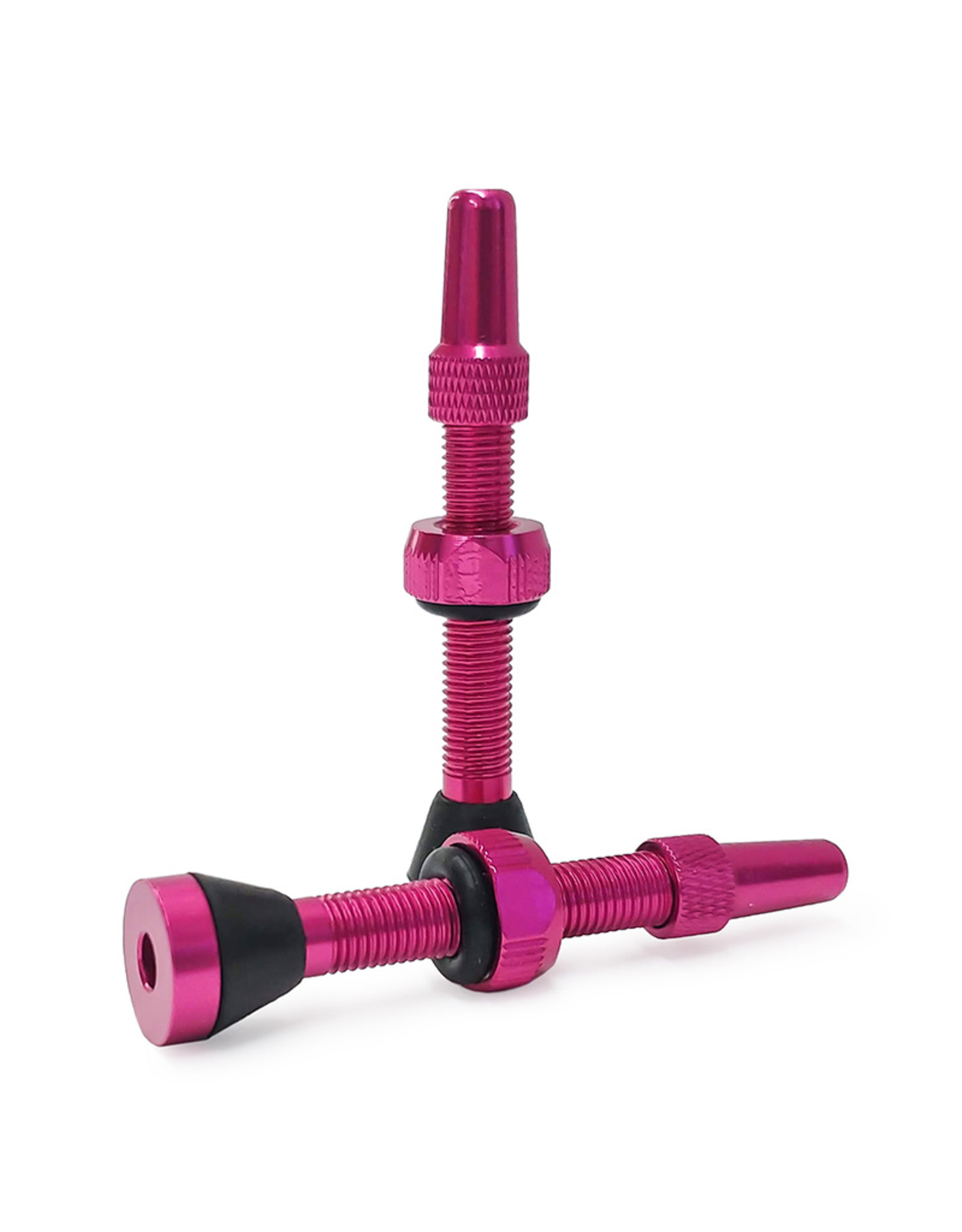 Color Options Tubeless Valve 44mm Round Base - Bike Bros.