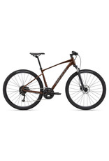 Giant Bicycles 2023 Roam 2