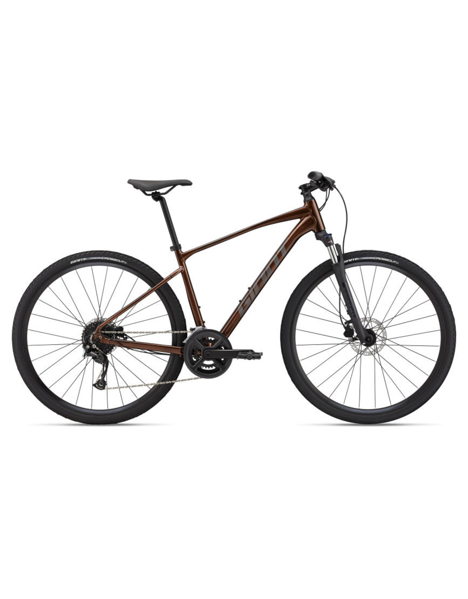 Giant Bicycles 2023 Roam 2