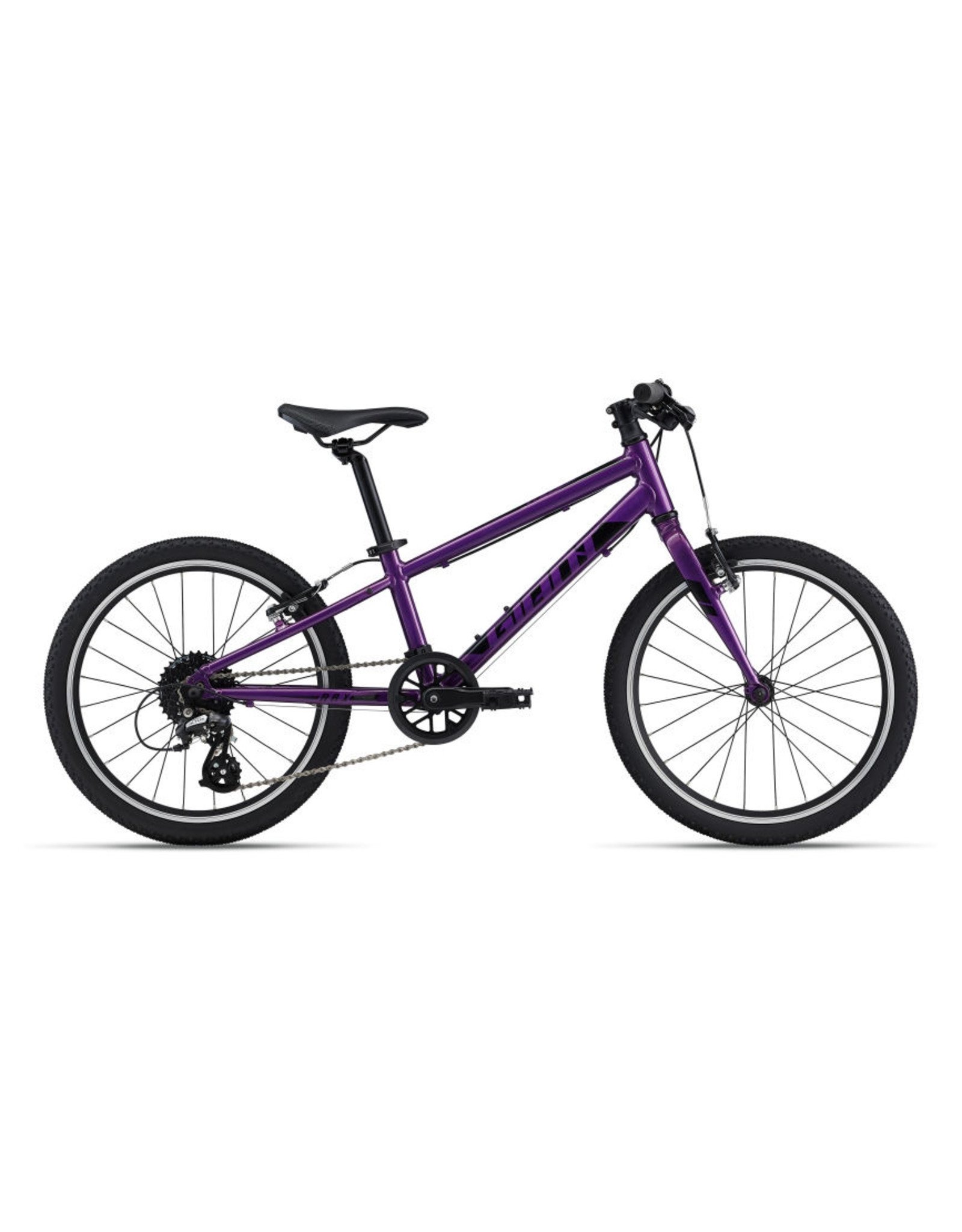 Giant Bicycles 2024 ARX 20