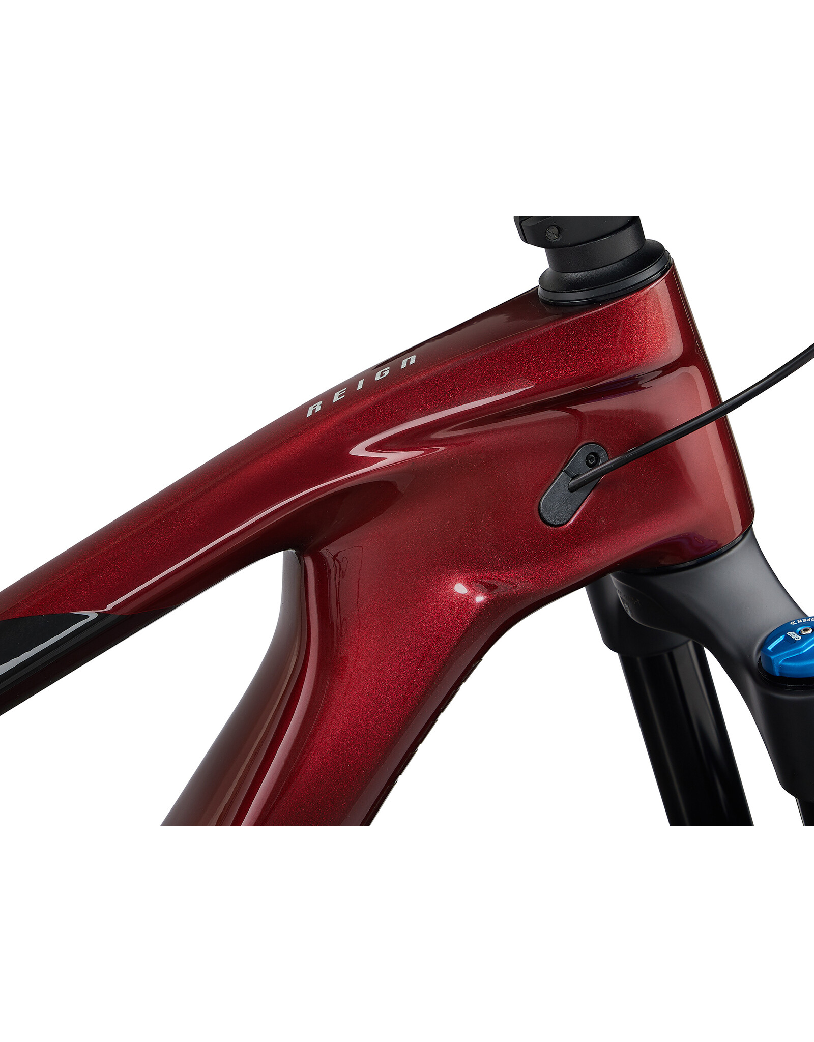Giant Bicycles 2024 (DEMO) Reign Adv 2 Sangria/Carbon