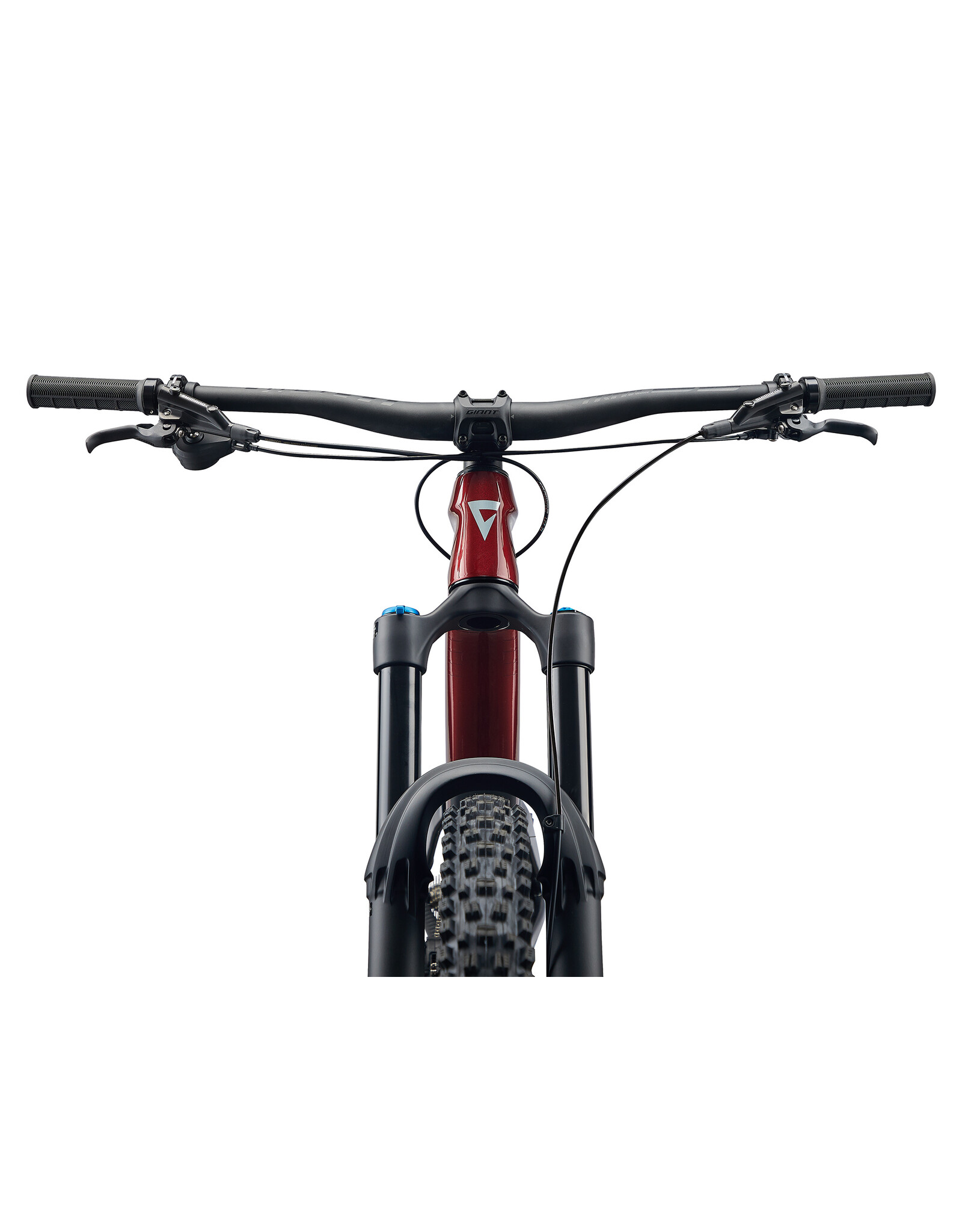 Giant Bicycles 2024 (DEMO) Reign Adv 2 Sangria/Carbon