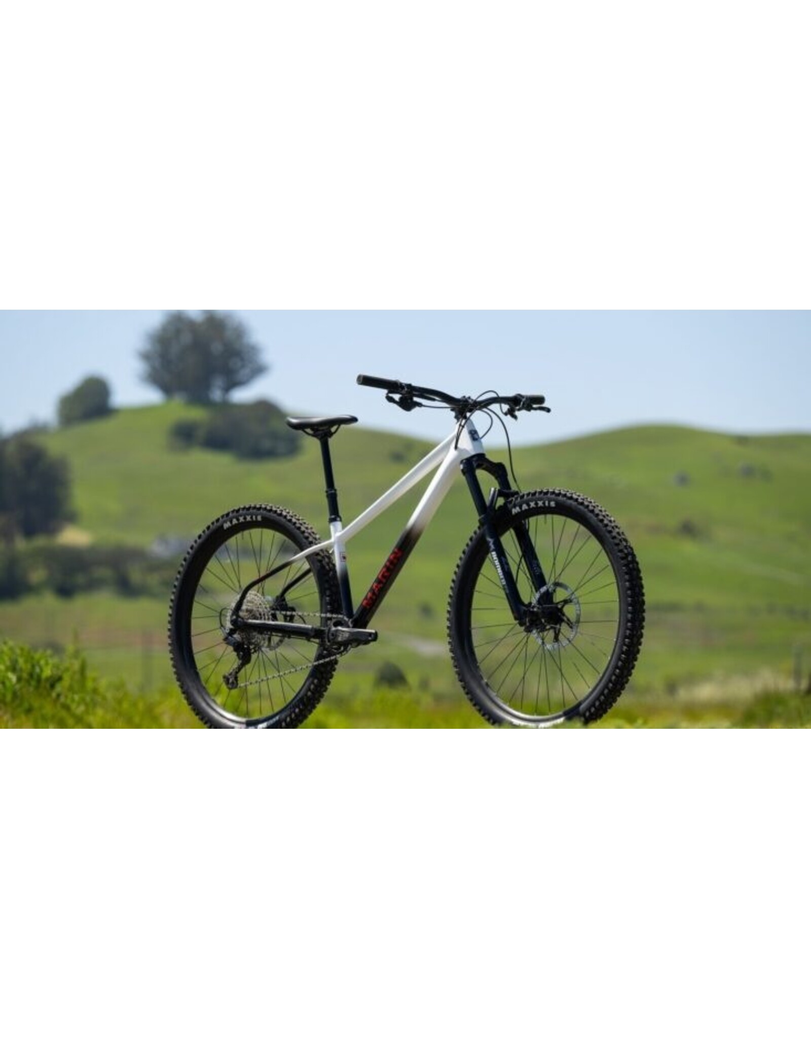 Marin Bikes 2024 San Quentin 3 29 White/Black