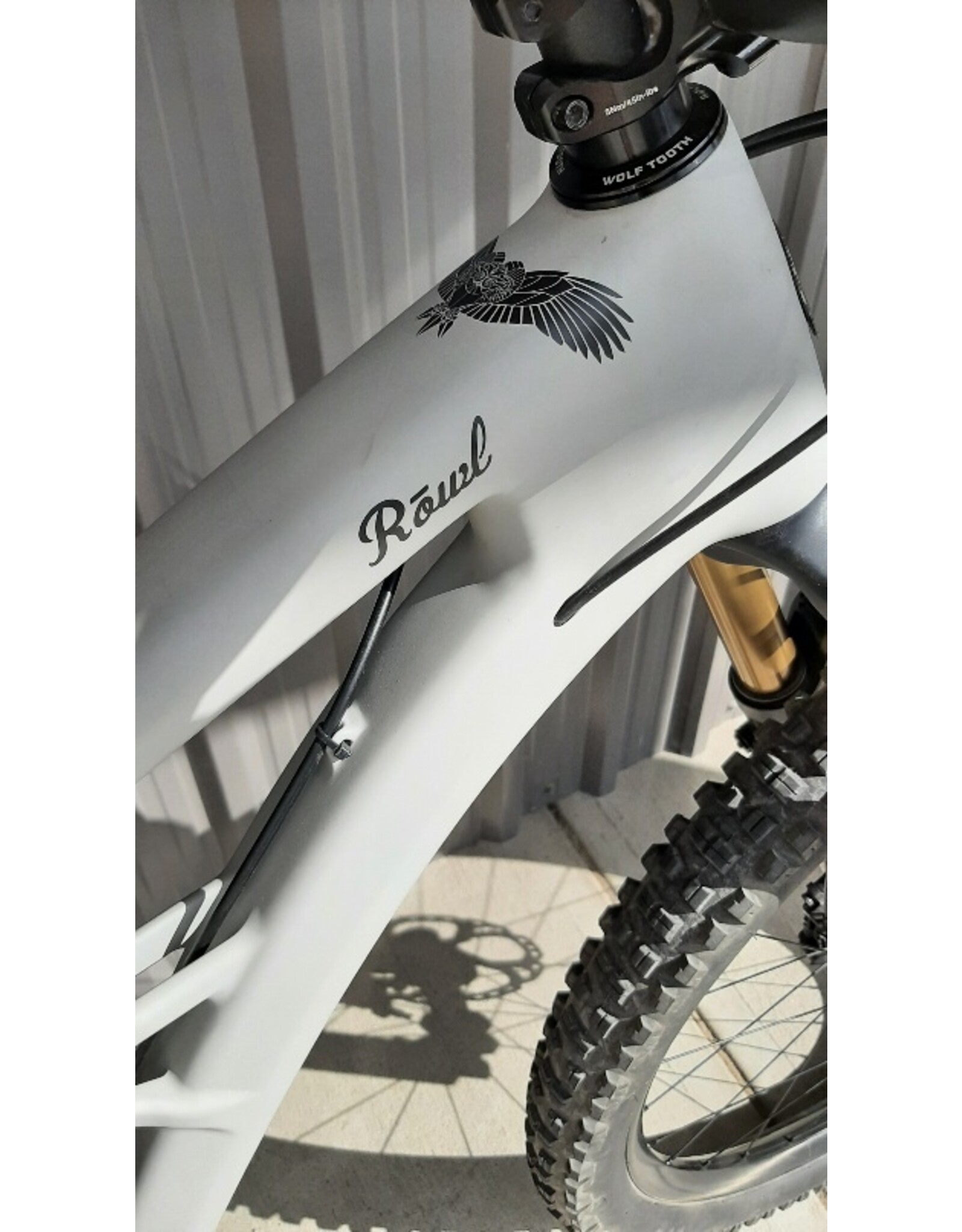 Esker Rowl Complete Bike R3 (Shim XT/Fox Factory) XLarge Demo
