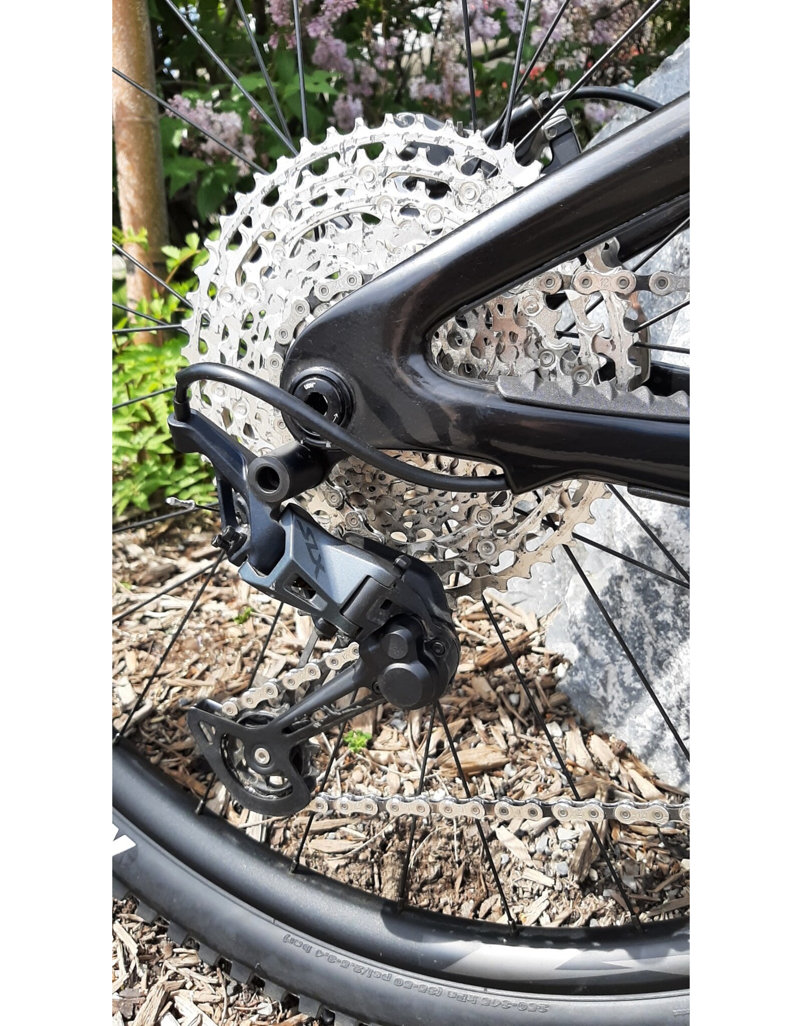 Giant Bicycles 2024 (DEMO) Reign Adv 2 Sangria/Carbon