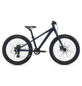 Giant youth mountain bike hot sale