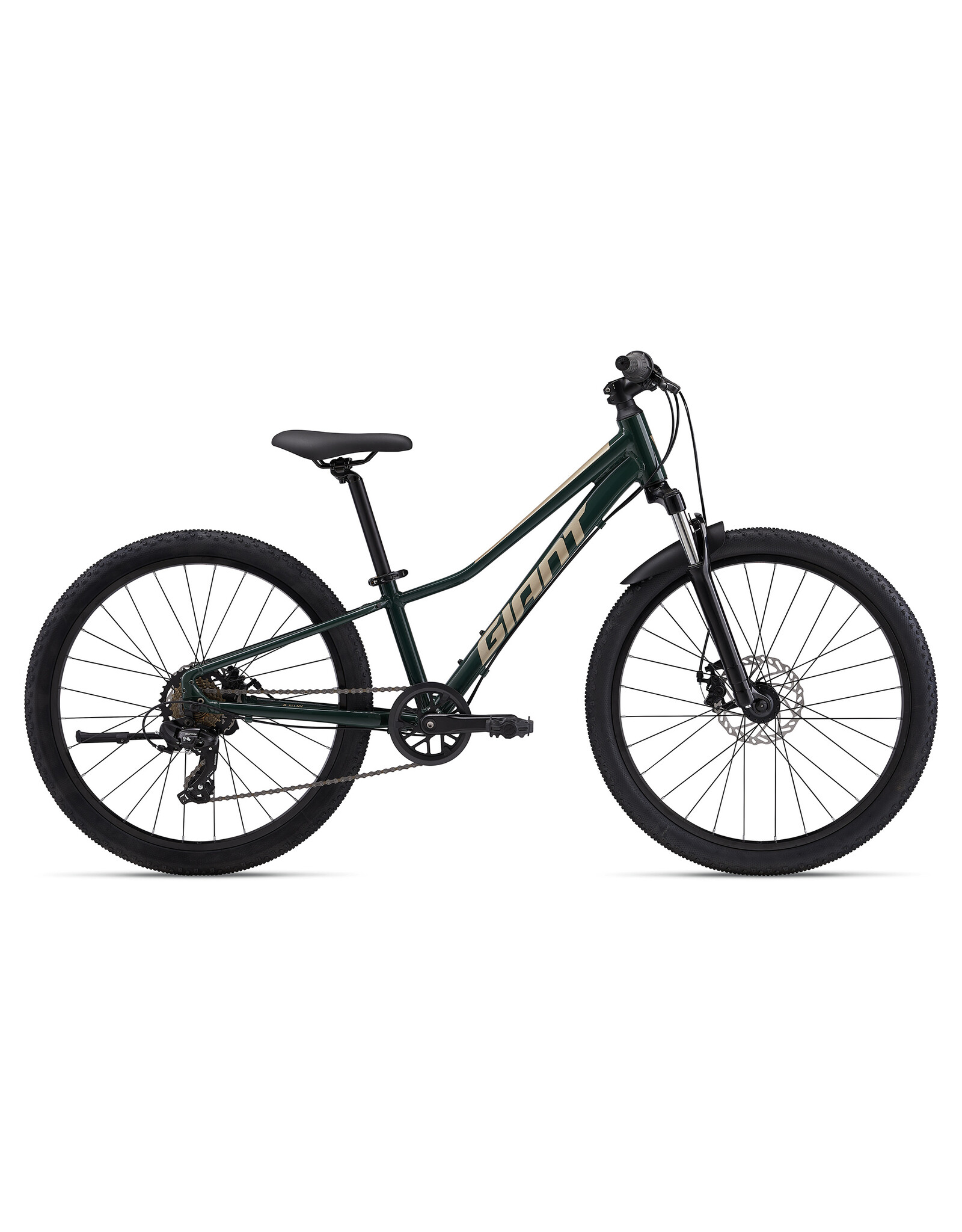 Giant Talon 24 Disc OSFM Trekking Green Bike Bros