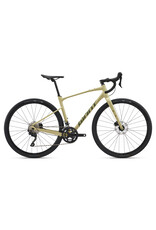 Giant Bicycles 2025 Revolt 1