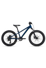 Giant Bicycles STP 20 FS Blue Palace OSFM