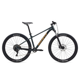 Giant Bicycles 2025 Talon 2