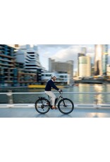 Giant Bicycles Expression E+