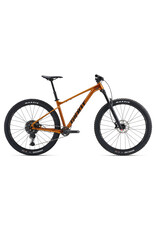Giant Bicycles Fathom 29