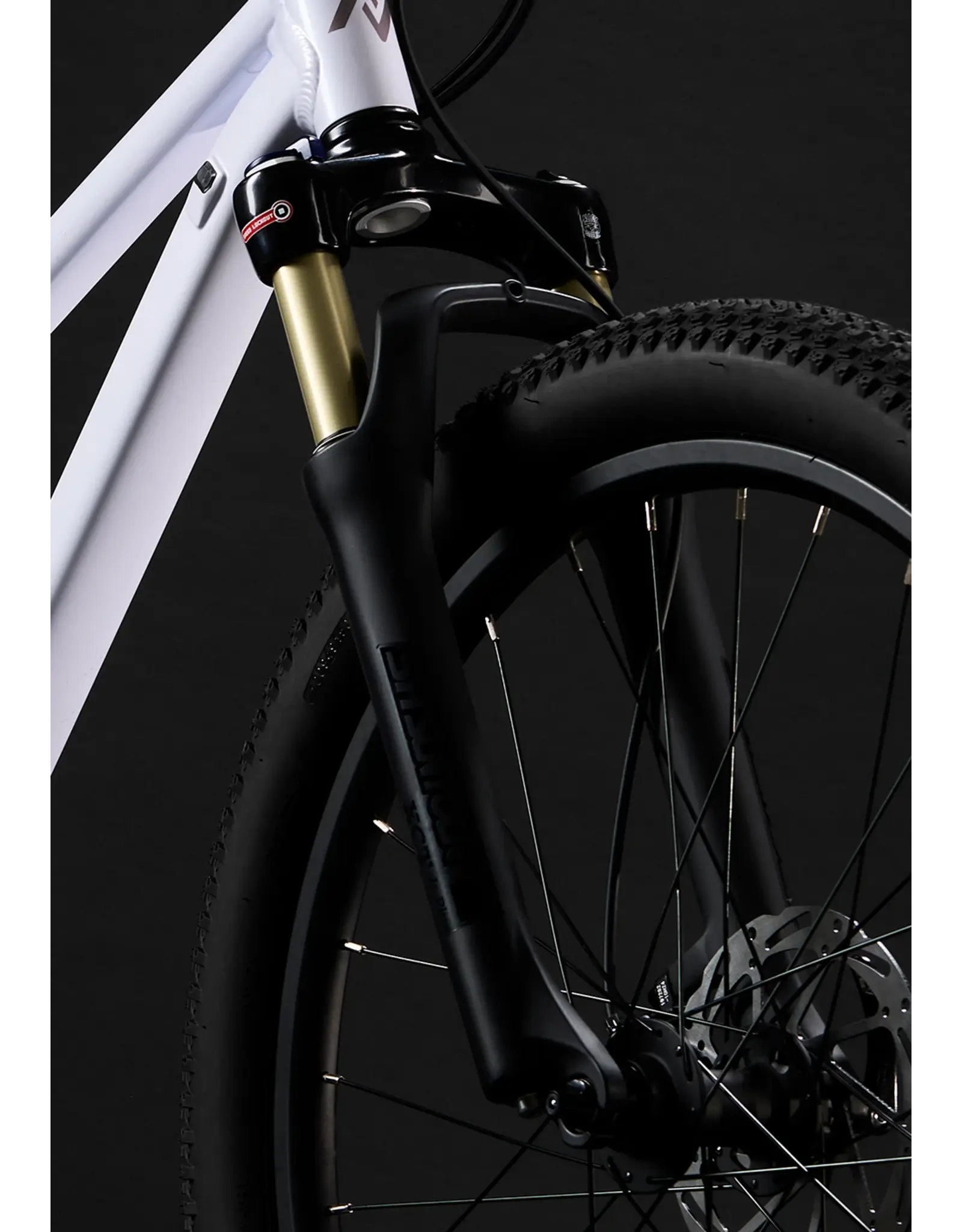 CHARGER 24 ICE WHITE