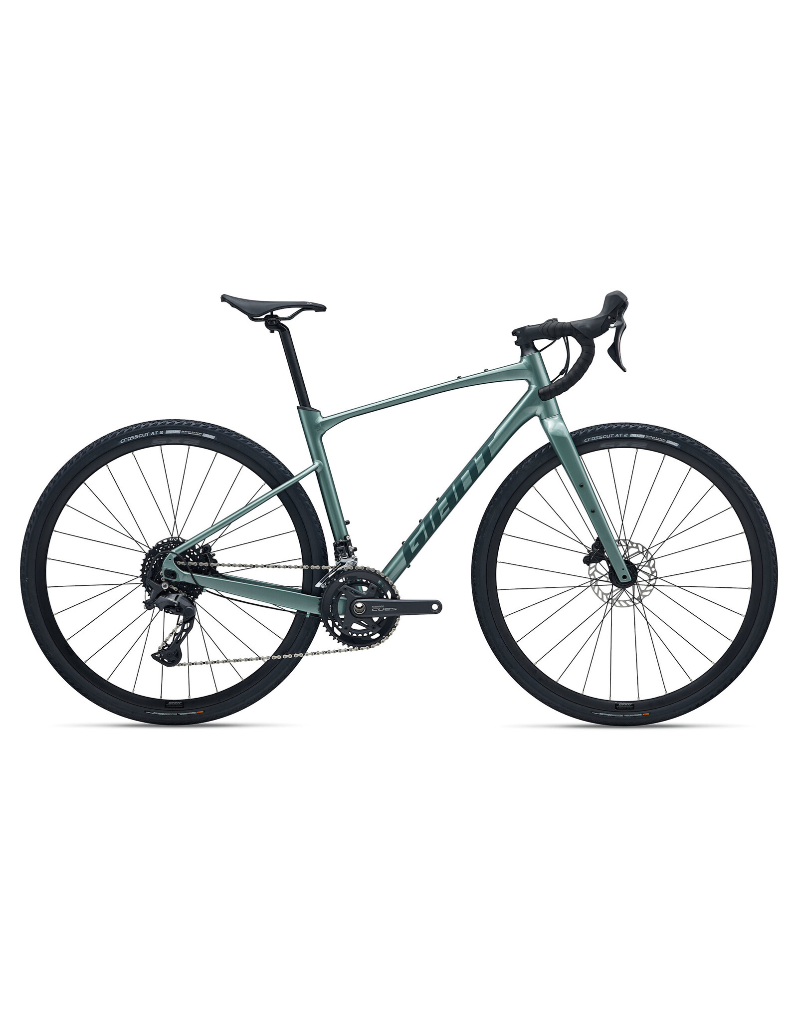 Giant Bicycles Revolt 1