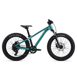 Giant Bicycles STP 20 FS OSFM