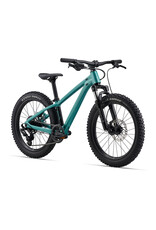 Giant Bicycles STP 20 FS OSFM
