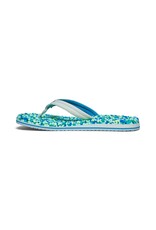Sanuk W Bubblecush Flip-flop Spa Blue Multi
