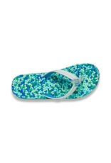 Sanuk W Bubblecush Flip-flop Spa Blue Multi