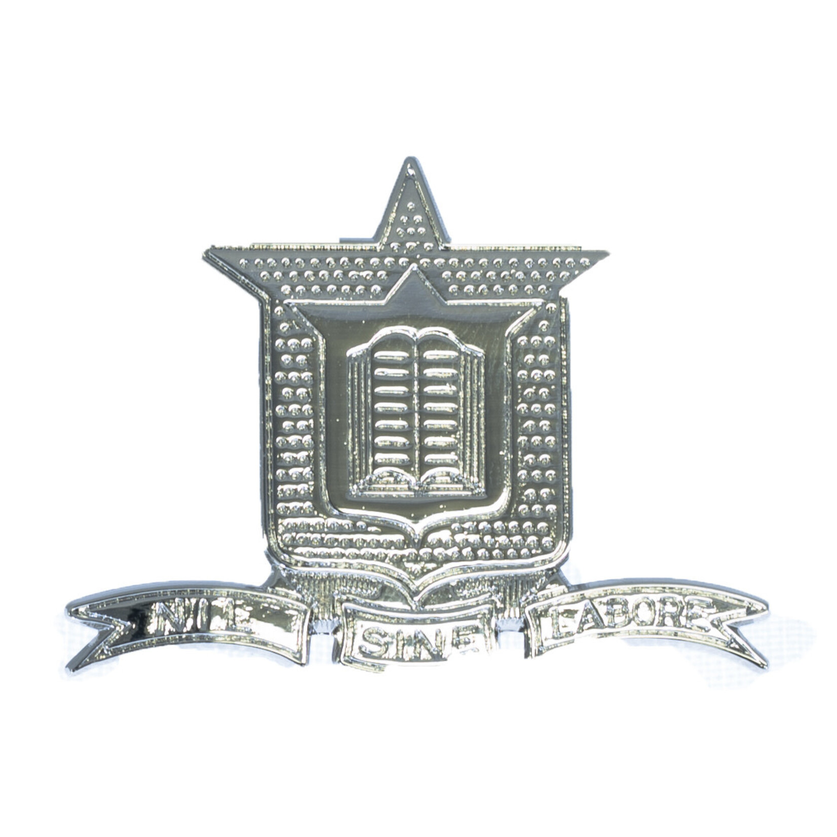 School Badge