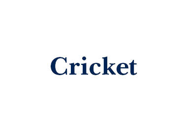 Cricket