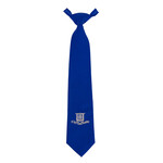 Junior School Tie  (33 cm)