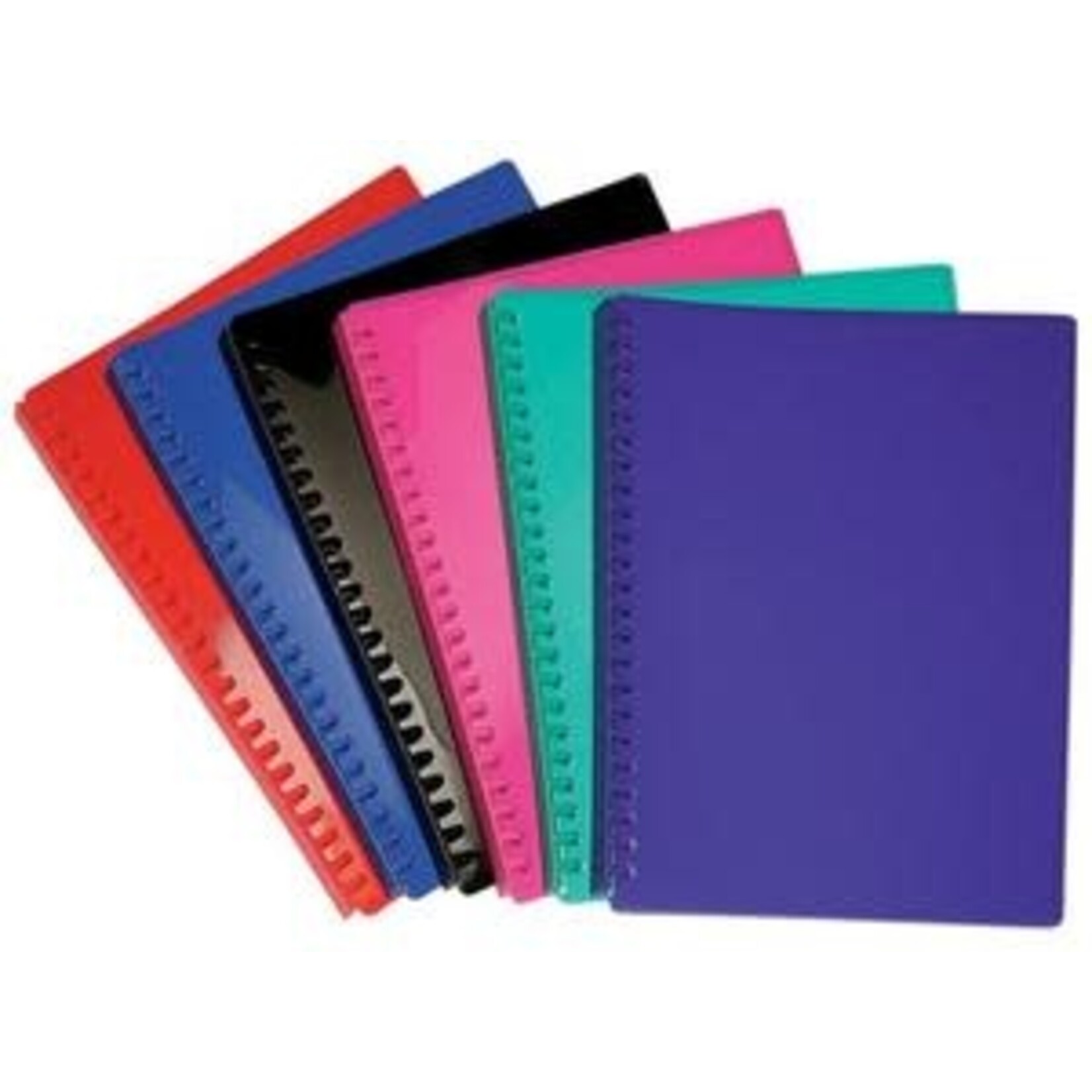 A4 Display Folder