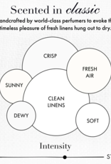 The Laundress THE LAUNDRESS Static Solution