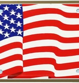 Mitchell Proffitt USA Wavy Flag License Plate