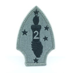 Military 2nd Marine Division Patch
