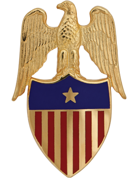 No Shine Insignia US Army Aide to the Brigadier General Insignia