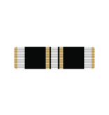Military Coast Guard Auxillary Excellence E Ribbon