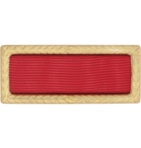 Military Army Meritorious Unit Award (Ribbon & Frame)