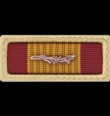 Military Vietnam Cross of Gallantry w/Palm Ribbon Framed