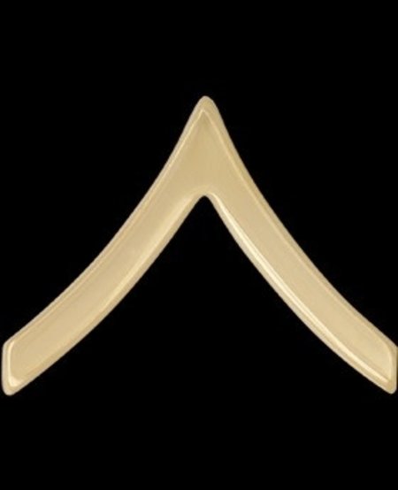 US Army Gold Private Insignia Enlisted Rank (E-2)