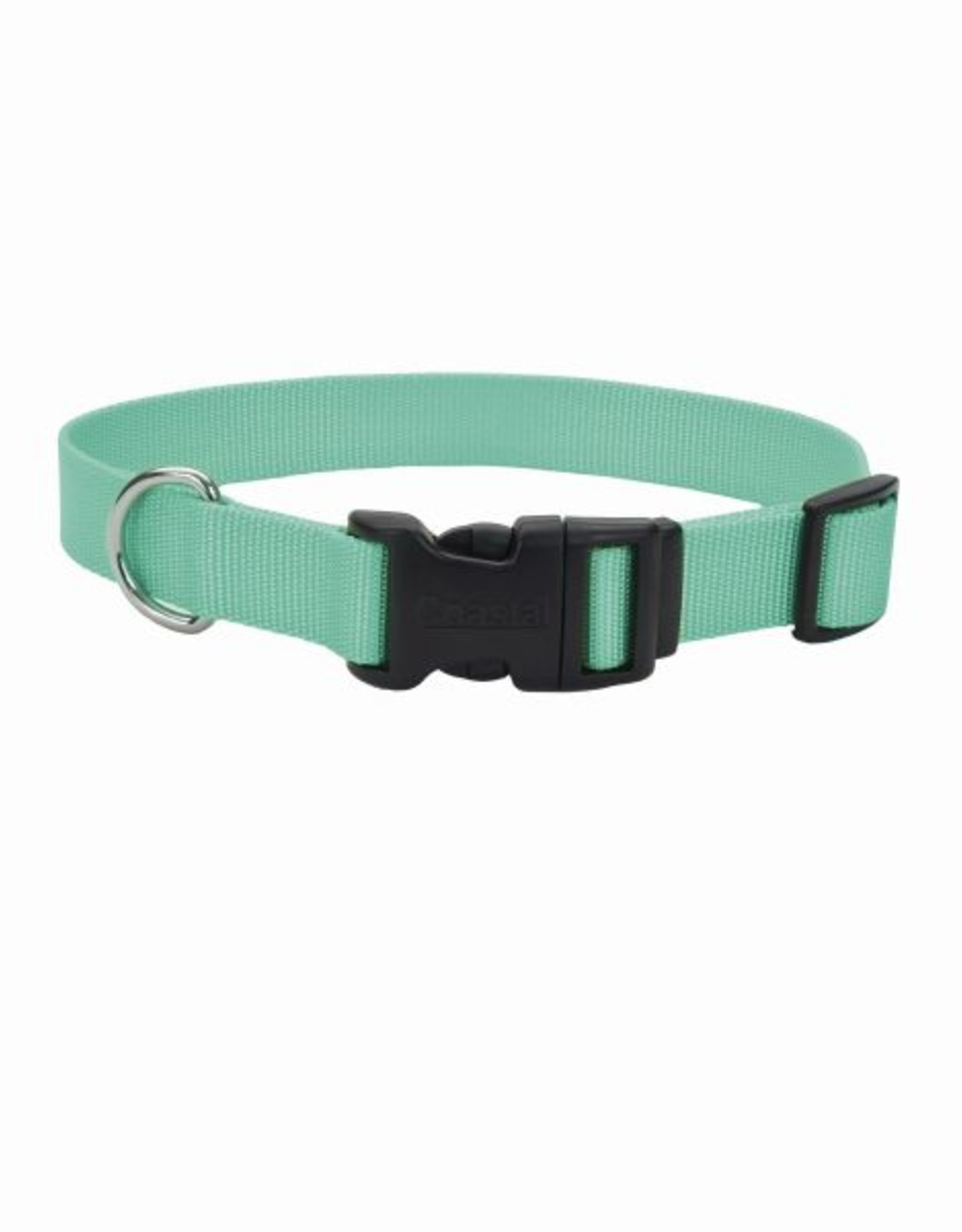 adjusting dog collar