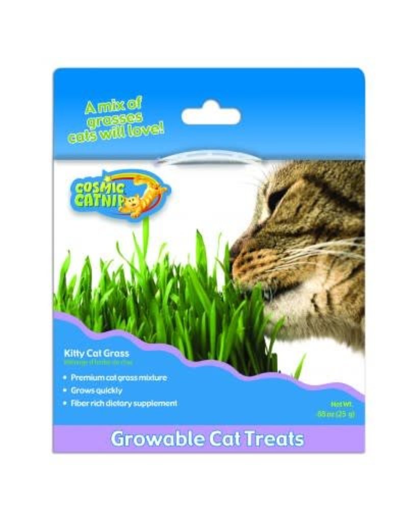 Cosmic Pet Cosmic Kitty Cat Grass