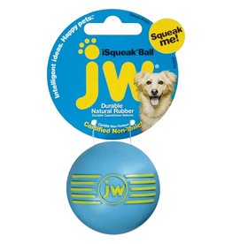 JW Products JW Pet iSqueak Ball Dog Toy, Color Varies