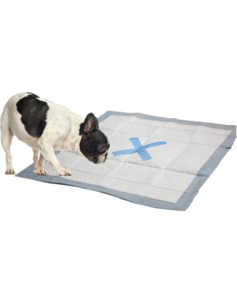 Ethical Ethical X Spot Puppy Pad 100 Count