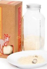 Steve's Real Food DogNog Enhance Milk Bottle 1.6 oz