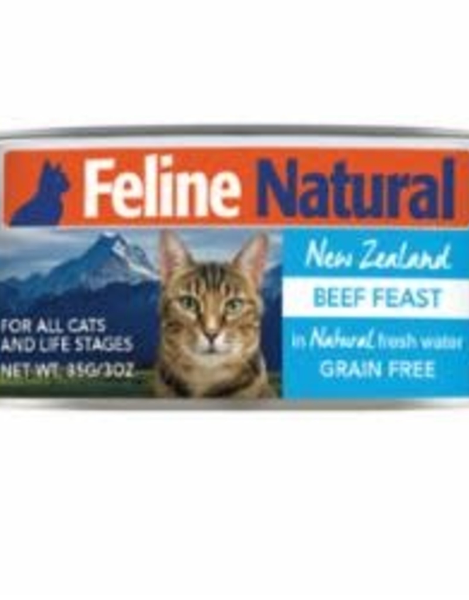 Feline Natural FELINE NATURAL CAT GRAIN FREE BEEF 3OZ