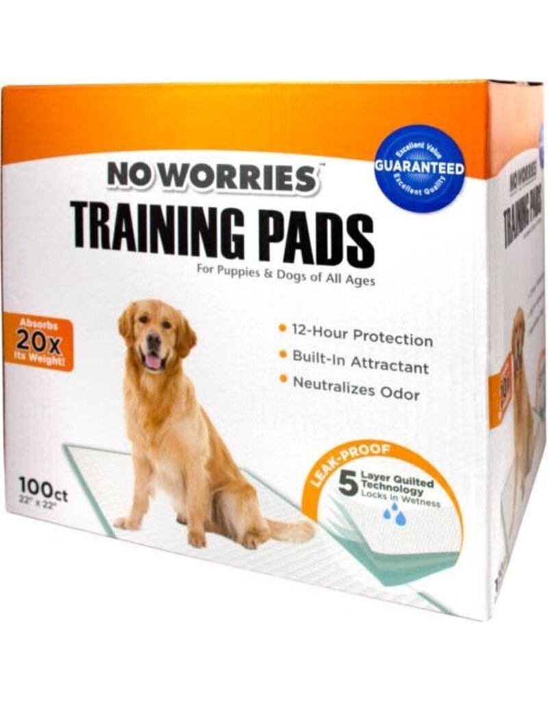 Four Paws Four Paws Wee Wee No Worries Training Pad 22X22