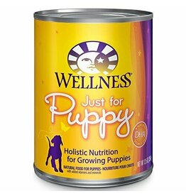 Wellness Wellness Complete Health Chicken & Salmon Canned Puppy Food 12.5oz