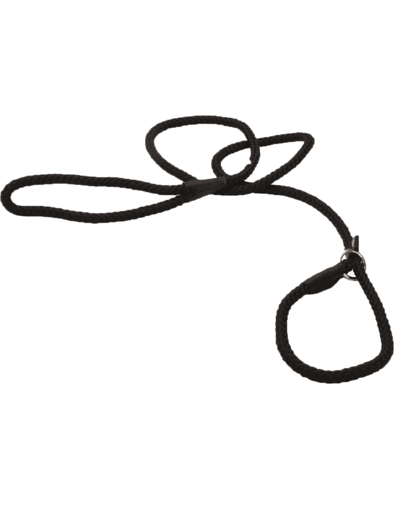 Coastal Pet Products Coastal Rope Slip Leash, Black, 1/2" x 06'