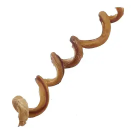 Zen Bully Curly Spiral Large