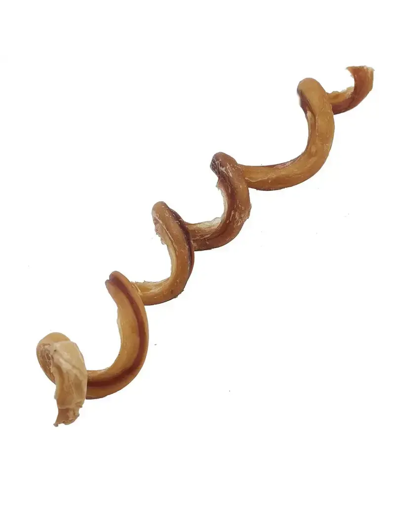 Zen Bully Curly Spiral Large