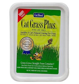 GIMBORN Gimborn Cat Grass Plus 150gm- Cat treat.